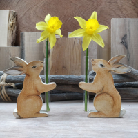 Haasje vaasje, geillustreerd